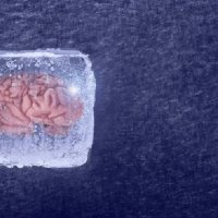 Dondurulmuş İnsan Beyin Dokusu Hayata Döndürüldü