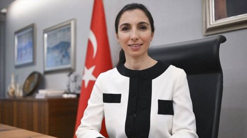 Hafize Gaye Erkan'ın OECD Türkiye Daimi Temsilcisi Olarak Atanacağı İddiası